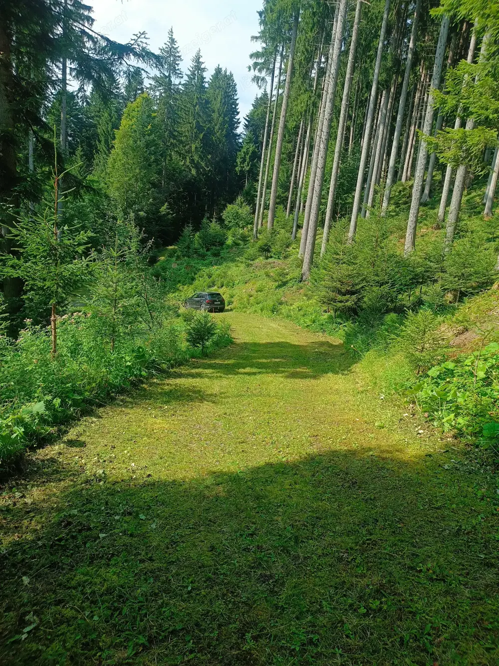 Suche Hilfsarbeiter im wald Suche Hilfsarbeiter im wald