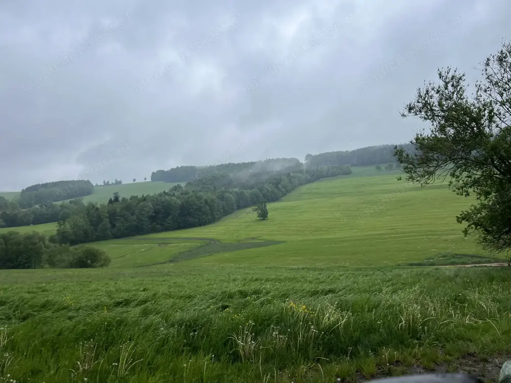 Suche Bauerhof, Landhaus zum Mieten