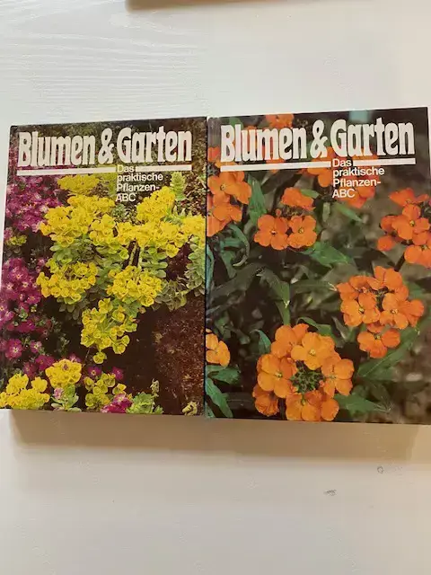 Blumen und Garten Blumen und Garten