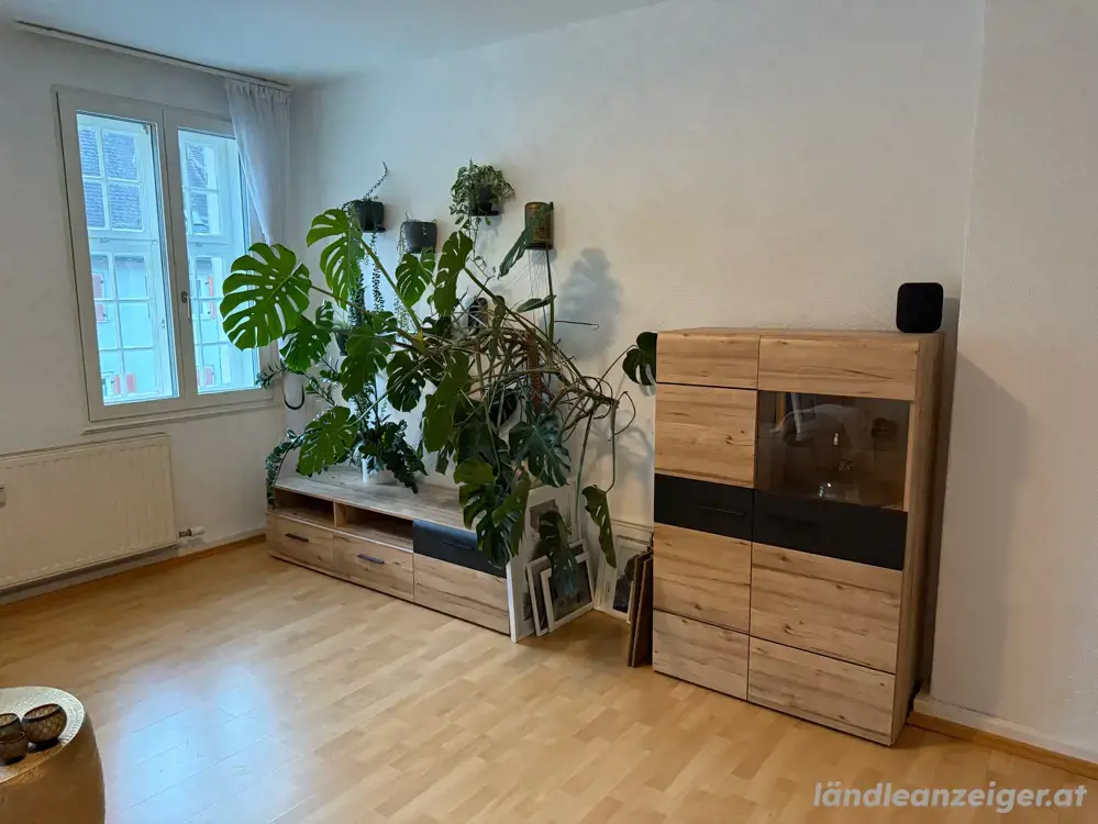    Wohnzimmer-Möbel
