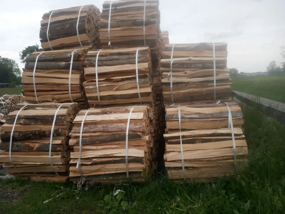 Brennholz hart, frisch Brennholz hart, frisch