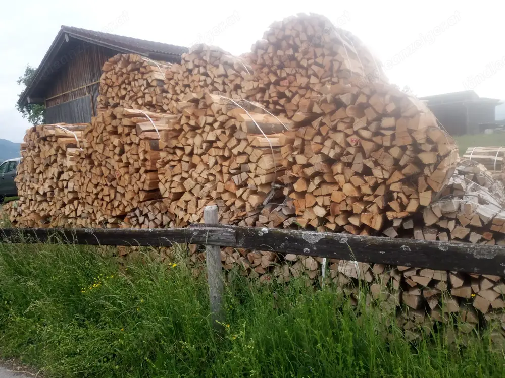 Brennholz weich, frisch Brennholz weich, frisch