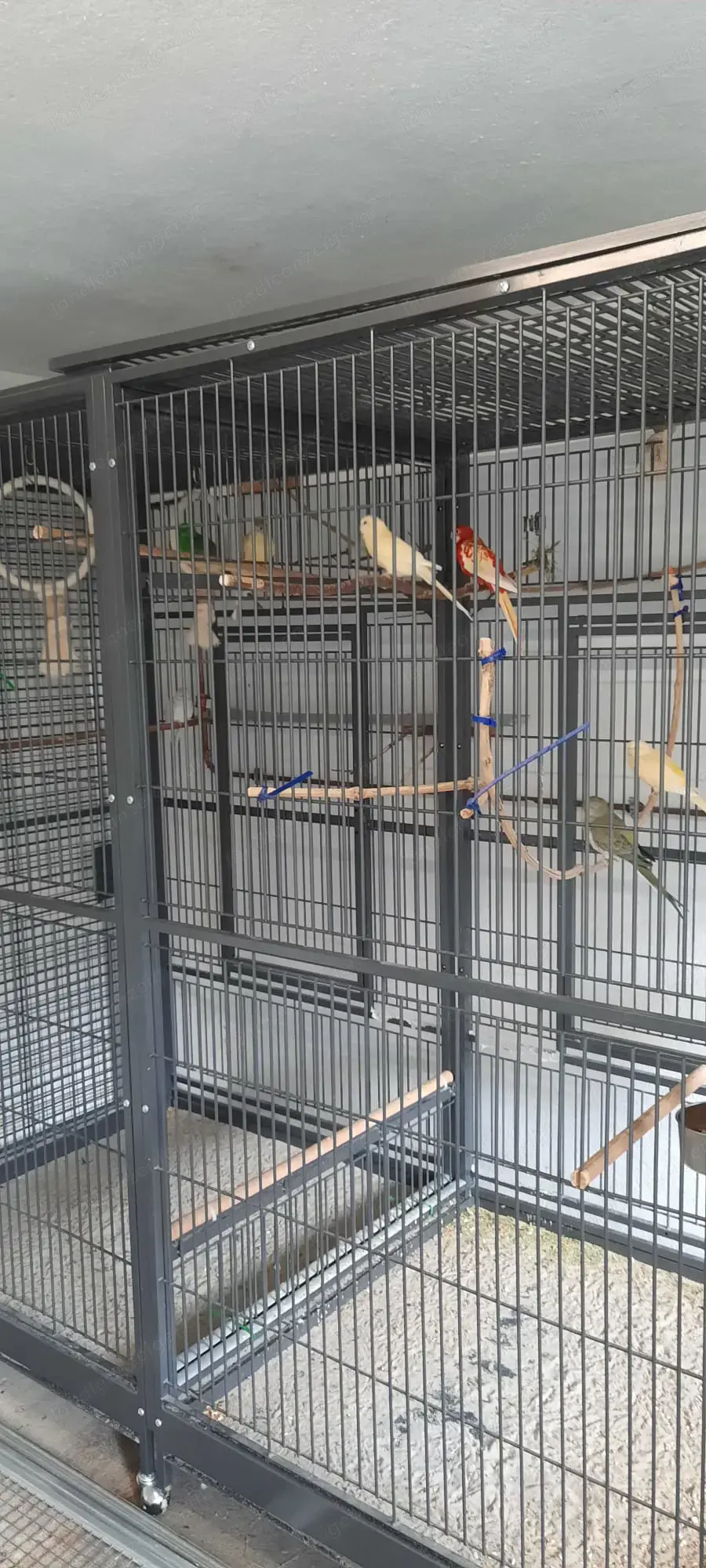 Voliere für Vögel Voliere für Vögel