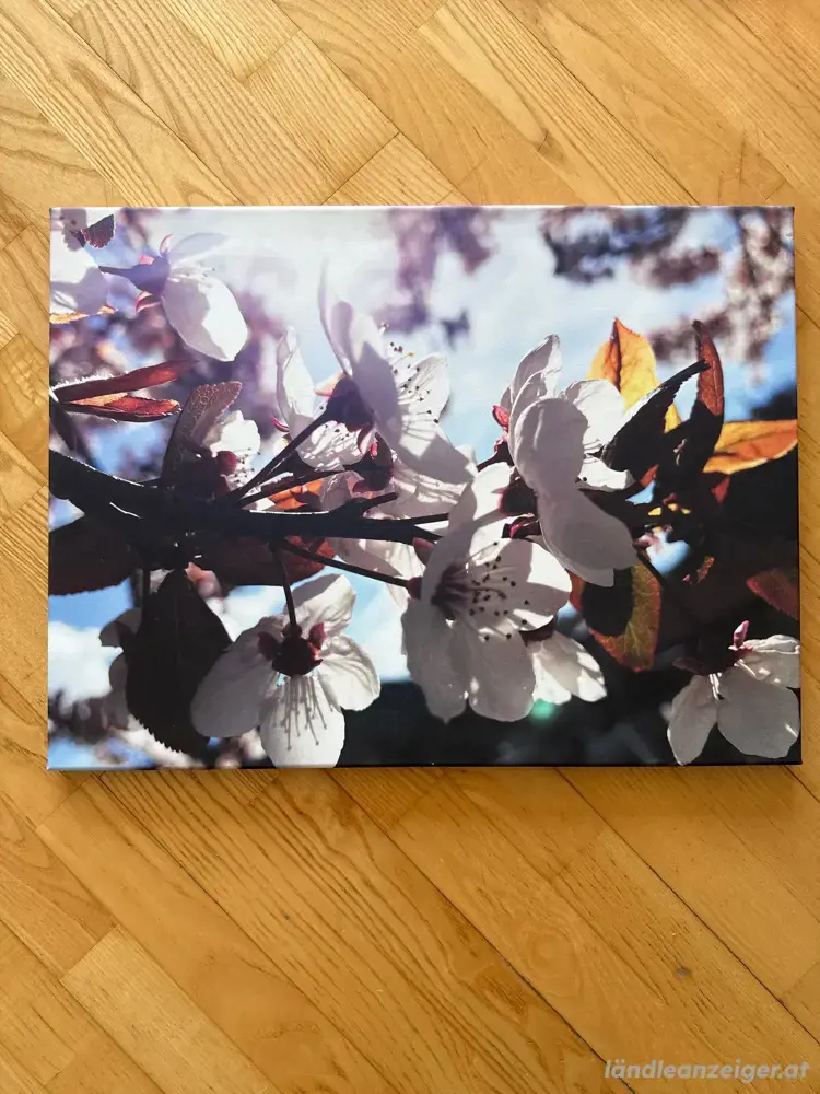 Bild zu verschenken Bild zu verschenken
