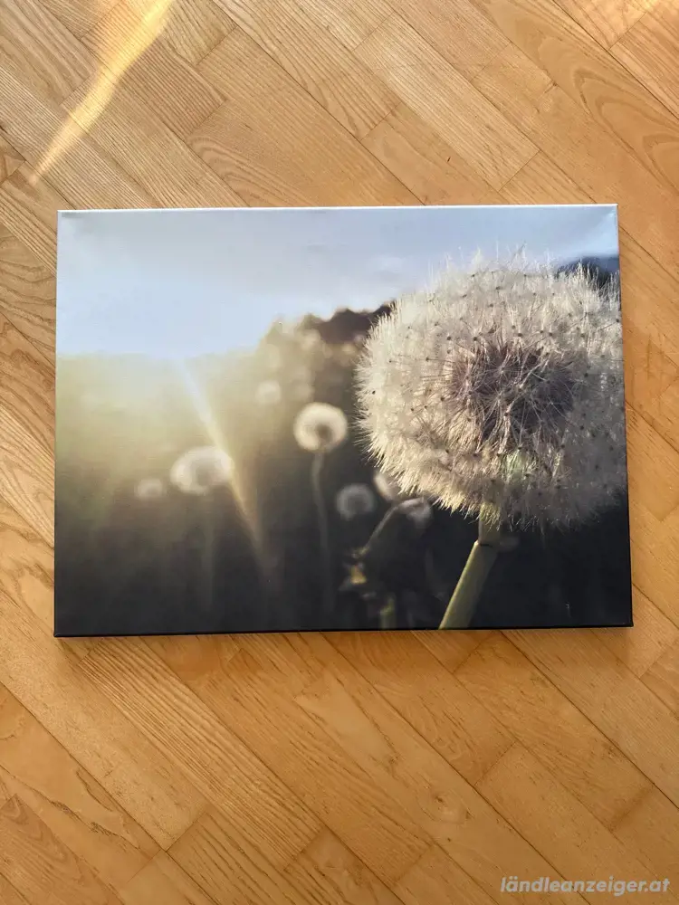 Bild zu verschenken Bild zu verschenken