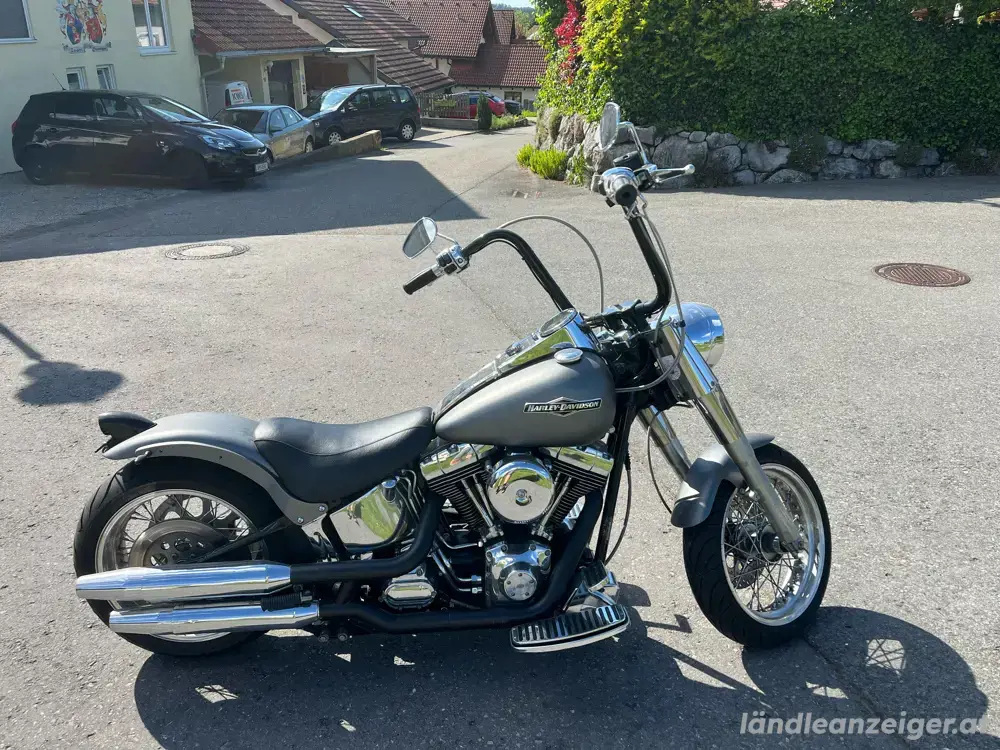 Harley Davidson Harley Davidson