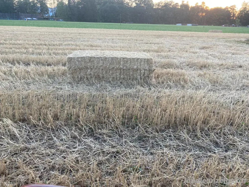 Stroh Ballen Stroh Ballen