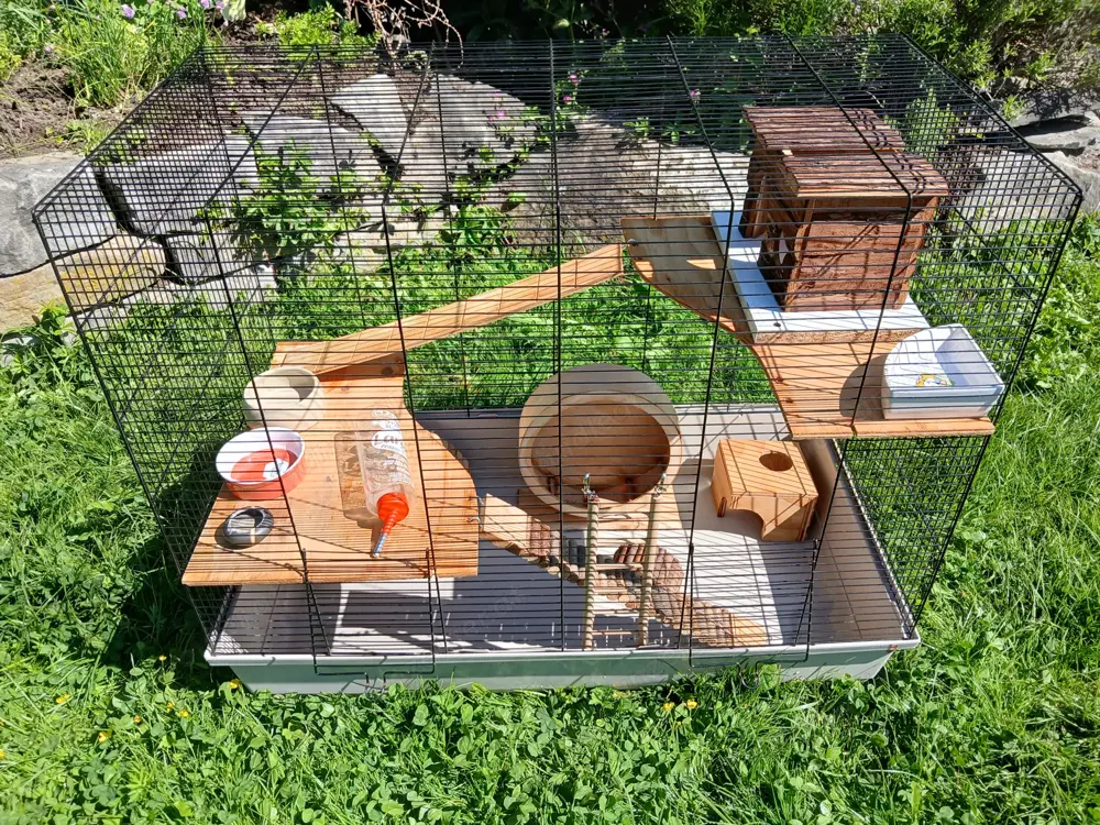 Hamster Meerschweinchen Stall