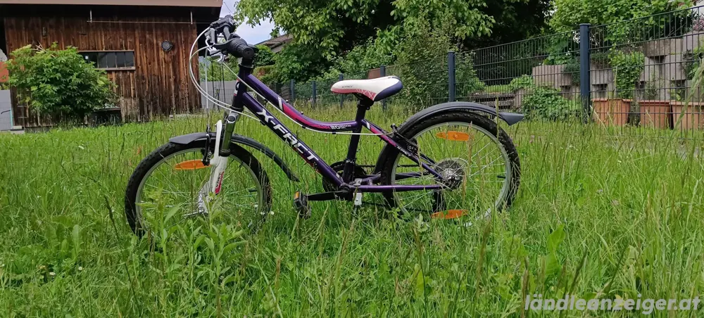 Fahrrad 20 Zoll Fahrrad 20 Zoll