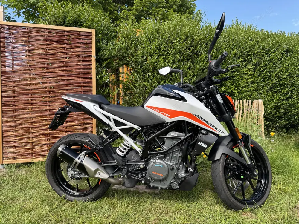 KTM 390 Duke Naked Bike (weiss) KTM 390 Duke Naked Bike (weiss)