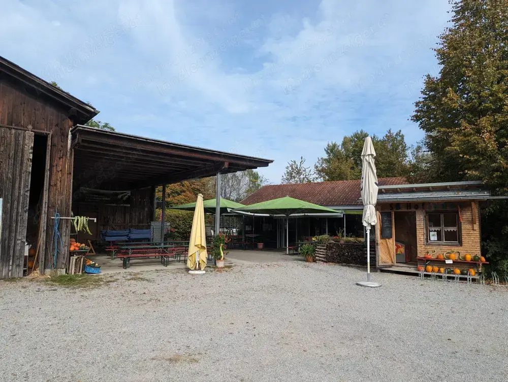 Küchenhilfe gesucht (ca. 25-30 h   Woche bis Oktober 25)
