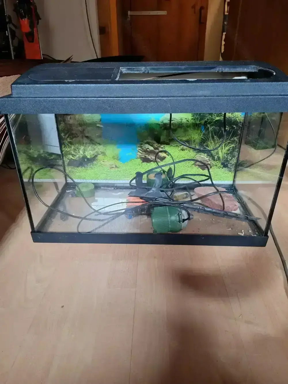 Aquarium günstig zu verkaufen Aquarium günstig zu verkaufen