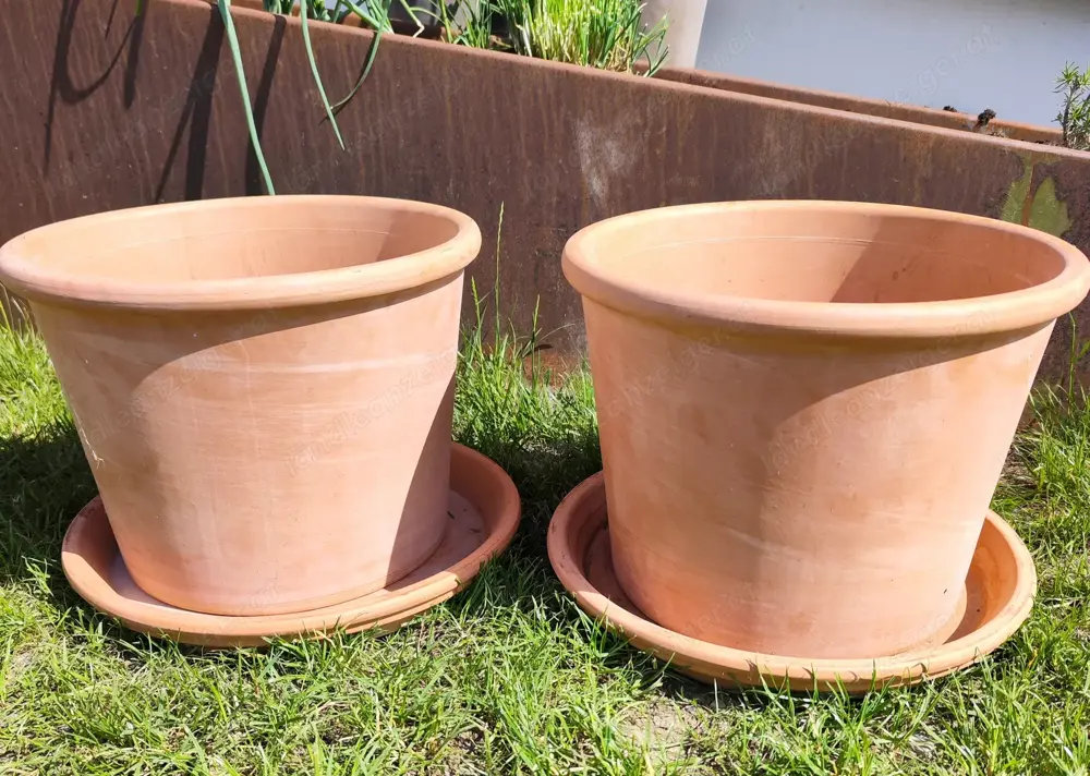 Terracotta Töpfe mit Untersetzer Terracotta Töpfe mit Untersetzer