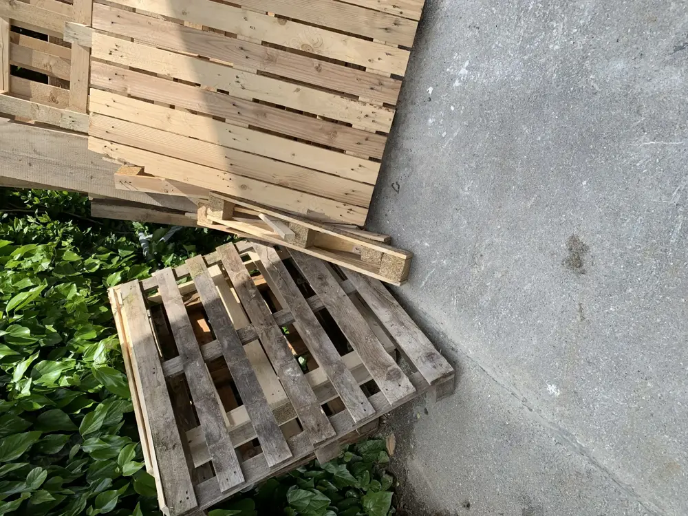 Brennholz für Feuerschale Brennholz für Feuerschale