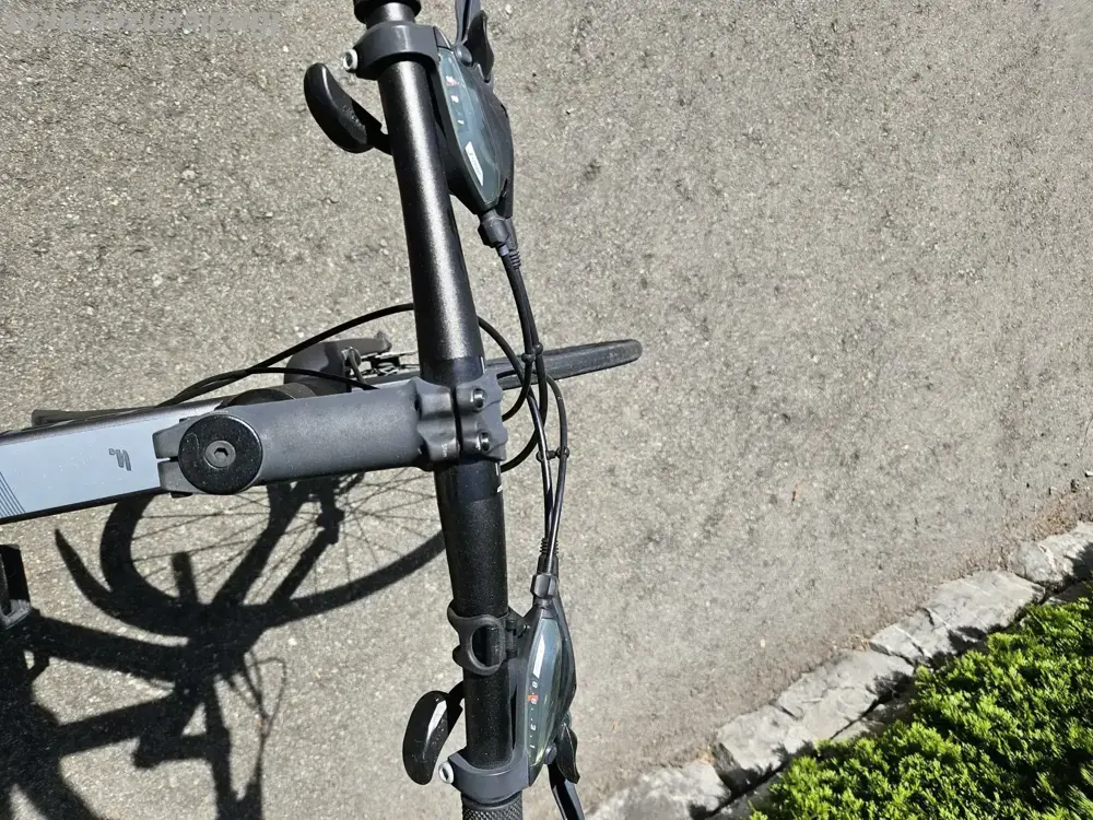 Focus 28 Zoll Focus 28 Zoll