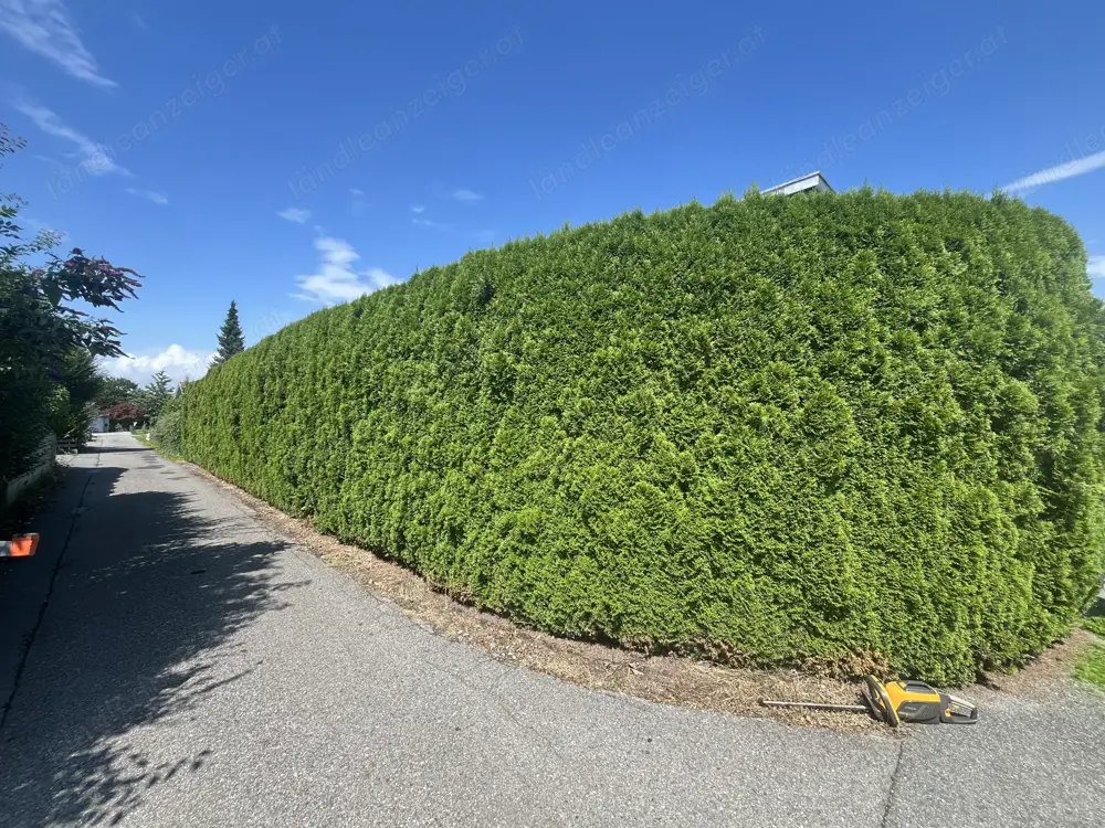 Gartenarbeit
