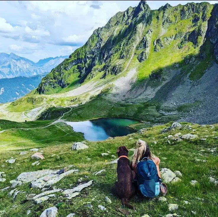 Zeit in der Natur mit Hundebegleitung