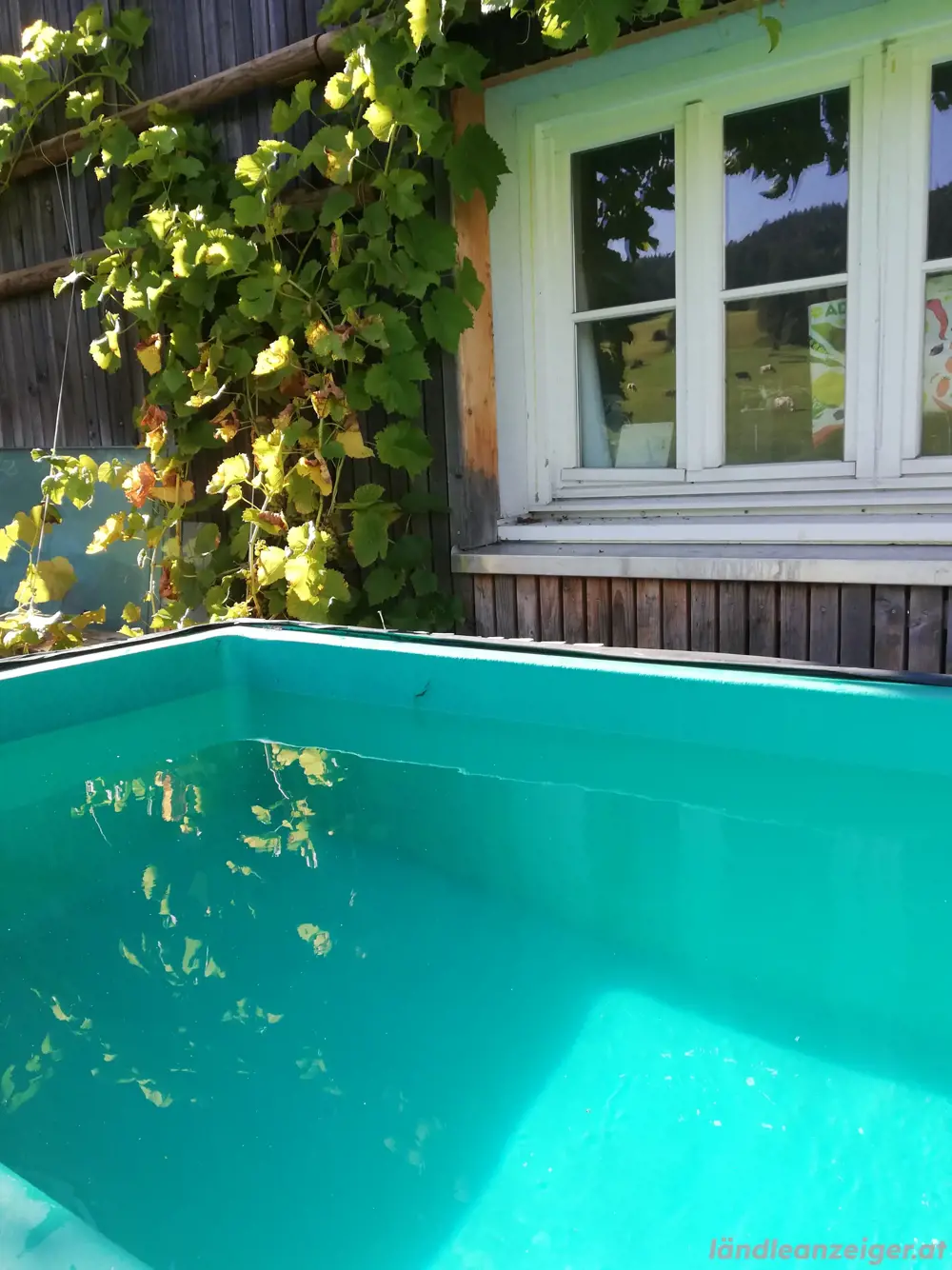Pool, Swimmingpool Pool, Swimmingpool