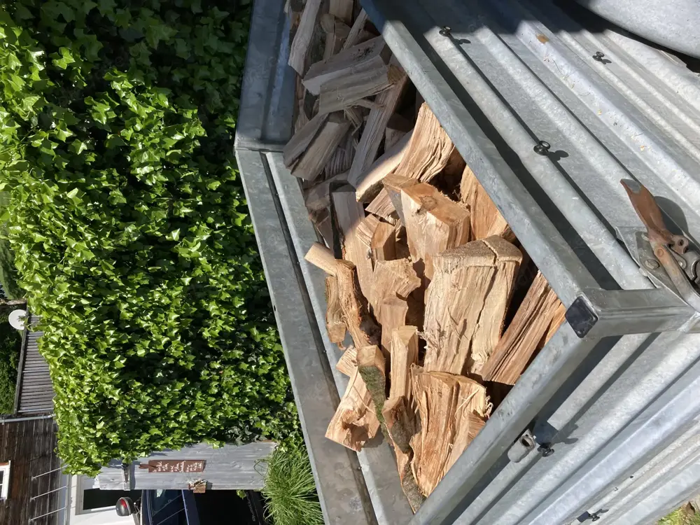 Buche Brennholz 38cm Buche Brennholz 38cm