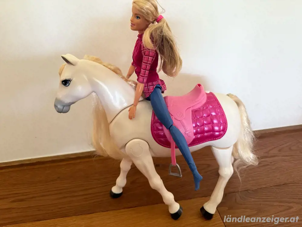 Pferd mit Reiterin Pferd mit Reiterin