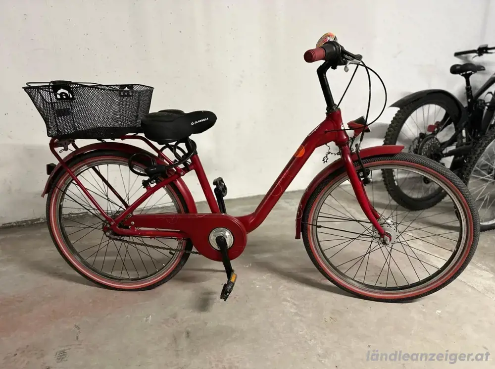 Damenfahrrad Damenfahrrad