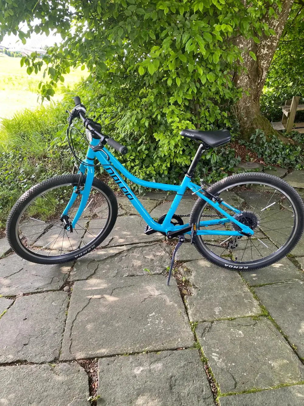 Fahrrad Naloo Chameleon MK24"