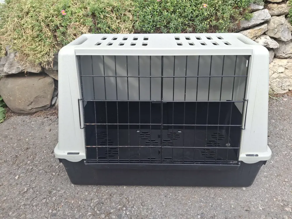 Hundebox gedacht für kleinere Hunde Hundebox gedacht für kleinere Hunde