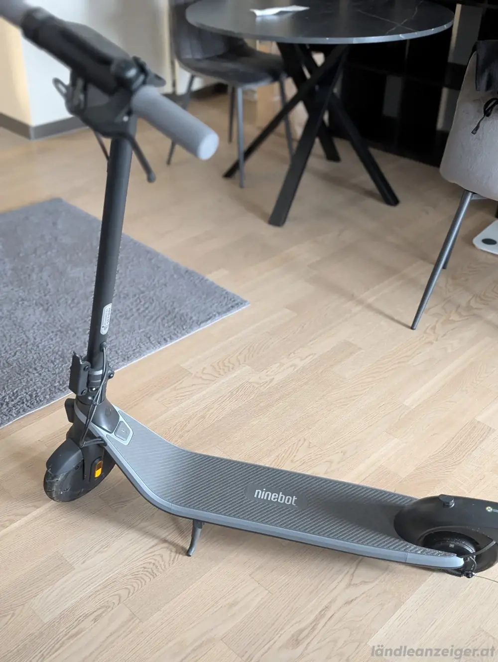 Segway-Ninebot E2 E E-Scooter Top-Zustand Segway-Ninebot E2 E E-Scooter Top-Zustand