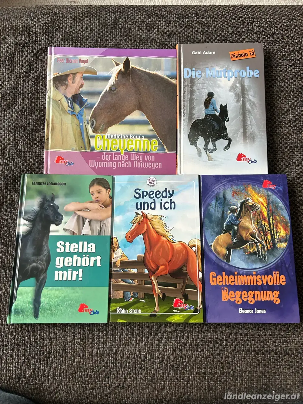 Ponyclub, 5 Bücher Ponyclub, 5 Bücher