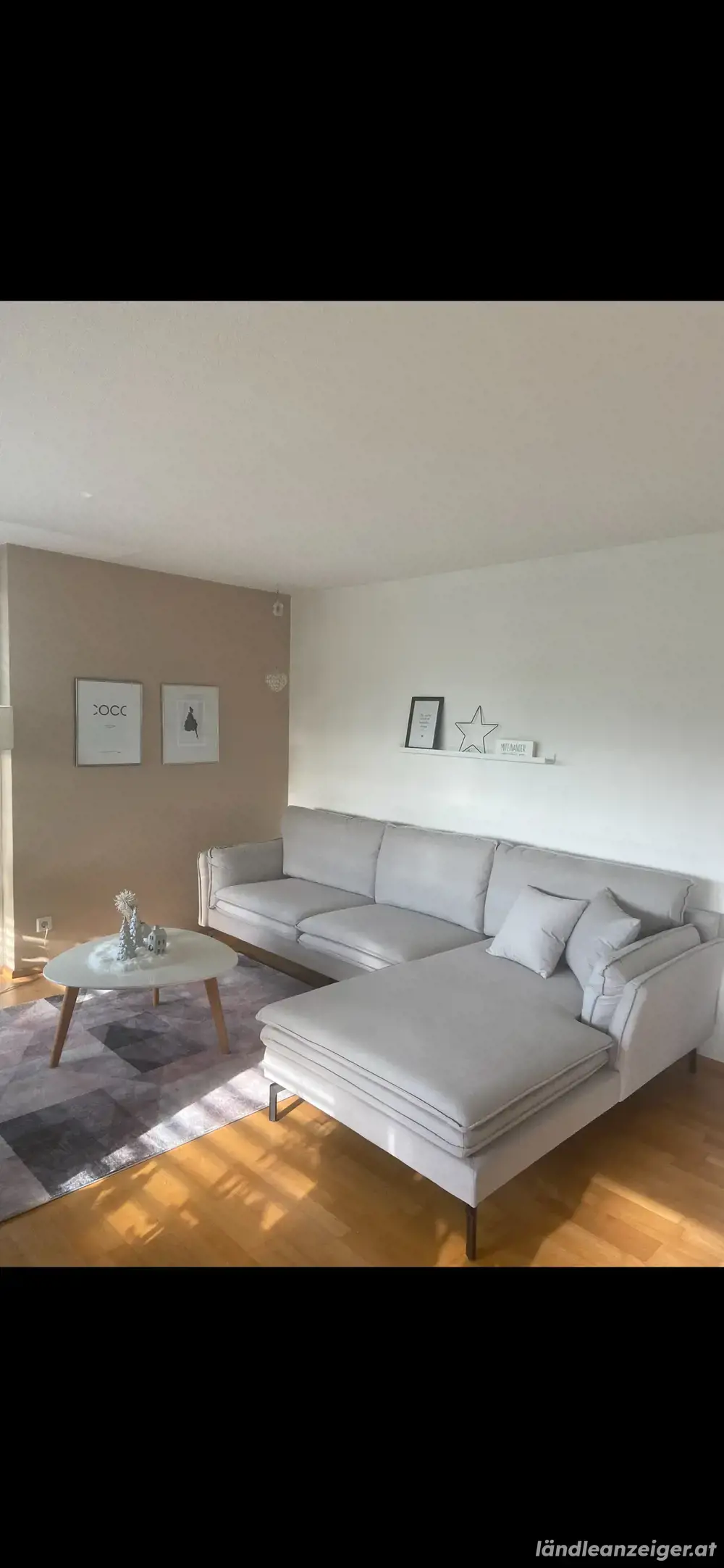 Couch  Sofa 