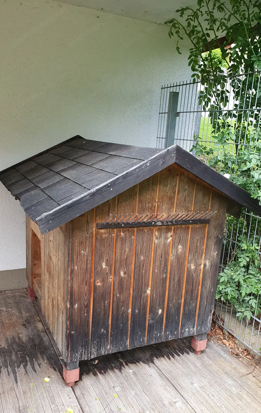 Hundehütte Hundehütte
