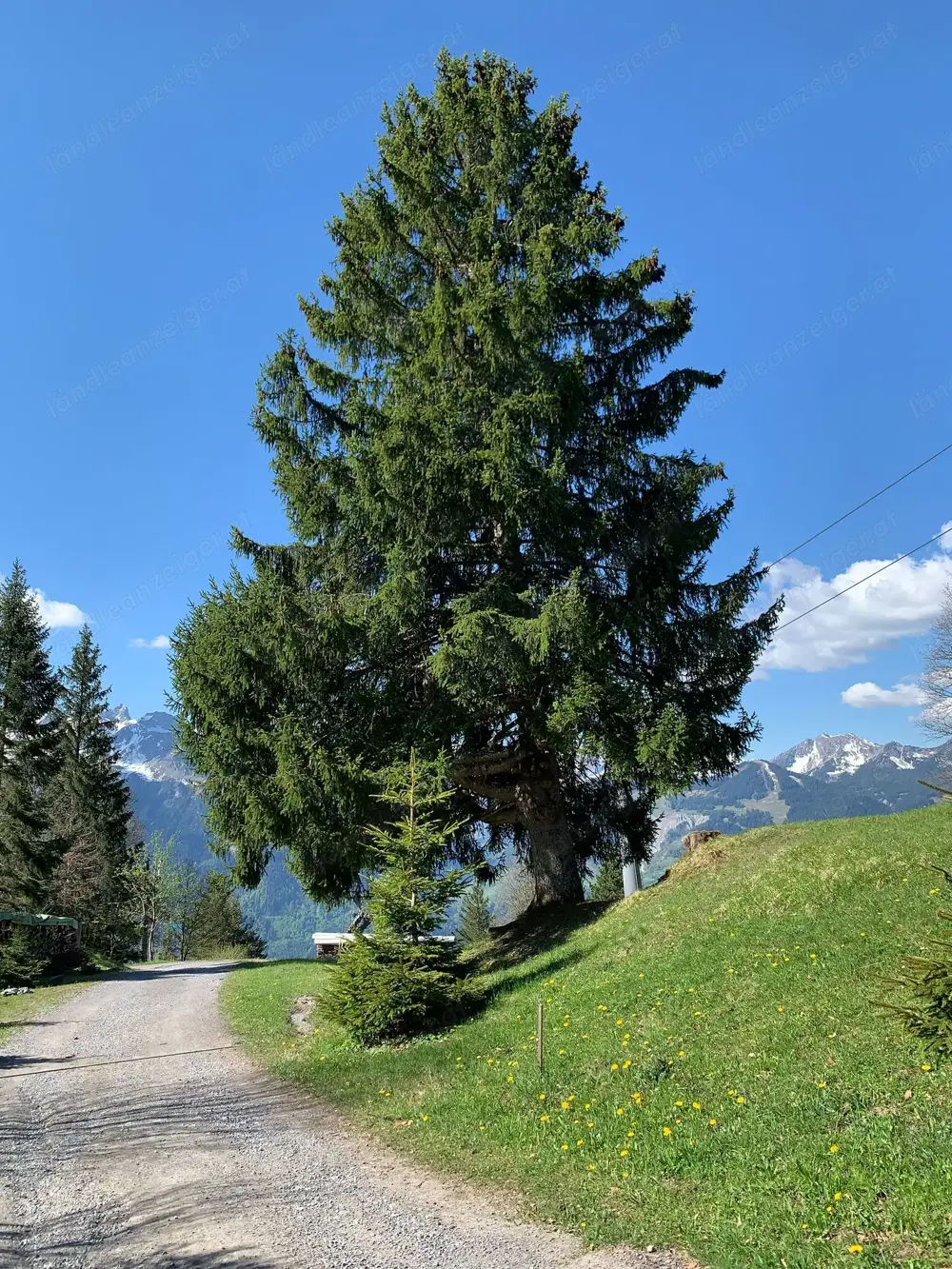 Suche Mietwohnung oder Miethaus im Montafon Suche Mietwohnung oder Miethaus im Montafon