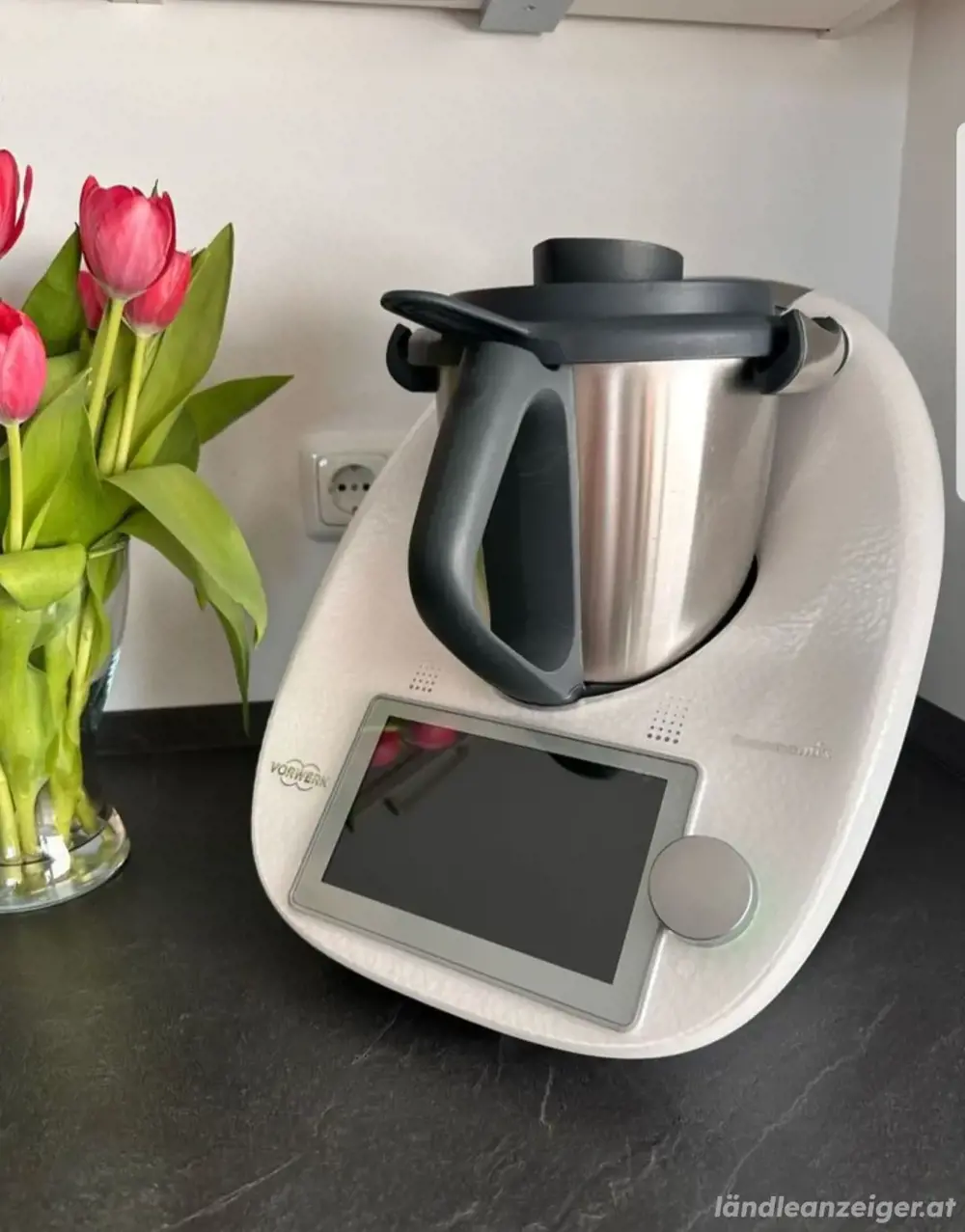 Thermomix TM6 Limited Edition Snow + Friend Thermomix TM6 Limited Edition Snow + Friend
