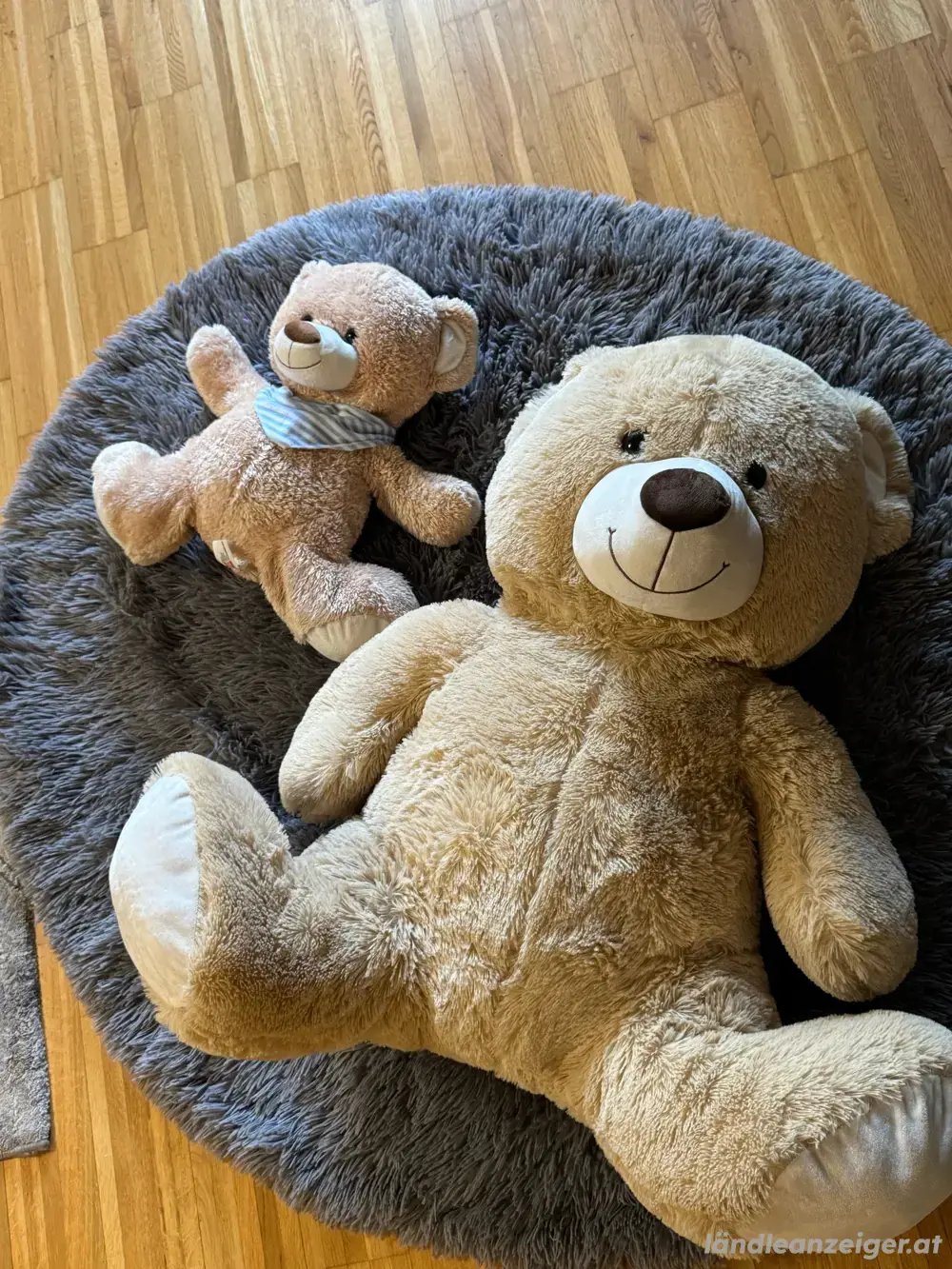Großer und kleiner Teddybär