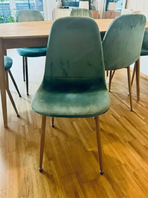 Polsterstühle mit Samtbezug Polsterstühle mit Samtbezug