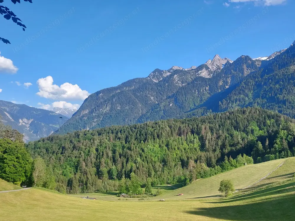 Suche im Raum Bludenz 2 Zi-Whg. Suche im Raum Bludenz 2 Zi-Whg.