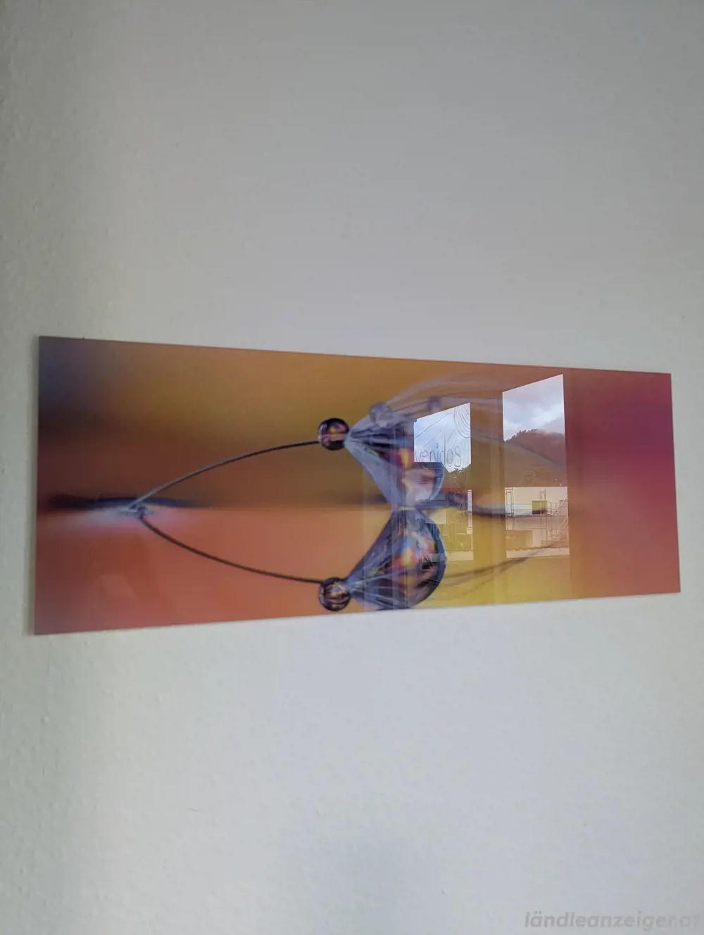 Glasbild Pusteblume Natur Glasbild Pusteblume Natur