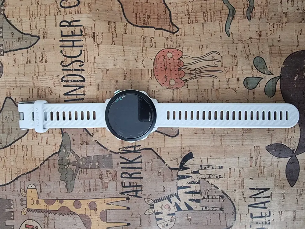Garmin Forerunner 55 Garmin Forerunner 55