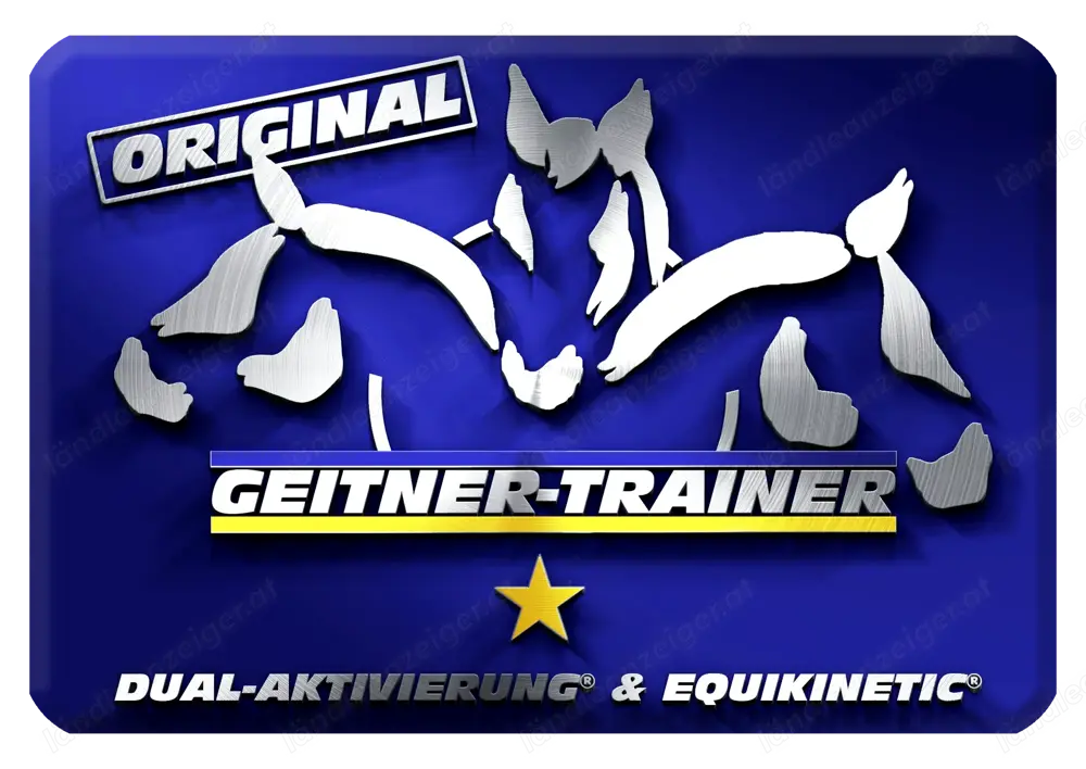 Pferdetraining leicht gemacht Pferdetraining leicht gemacht