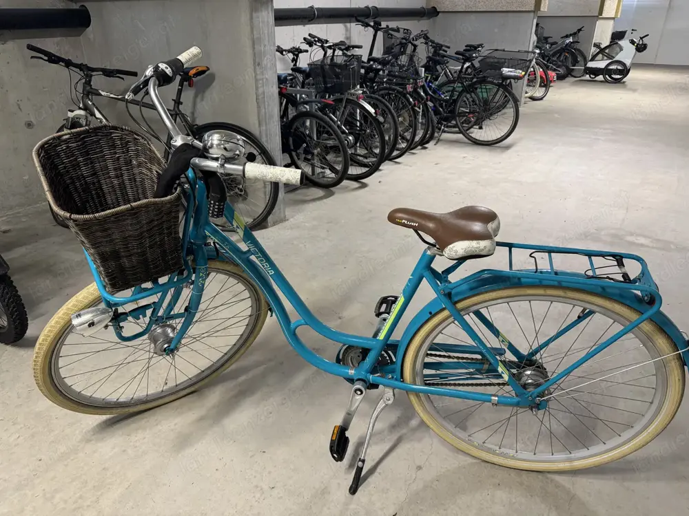Damenfahrrad Damenfahrrad