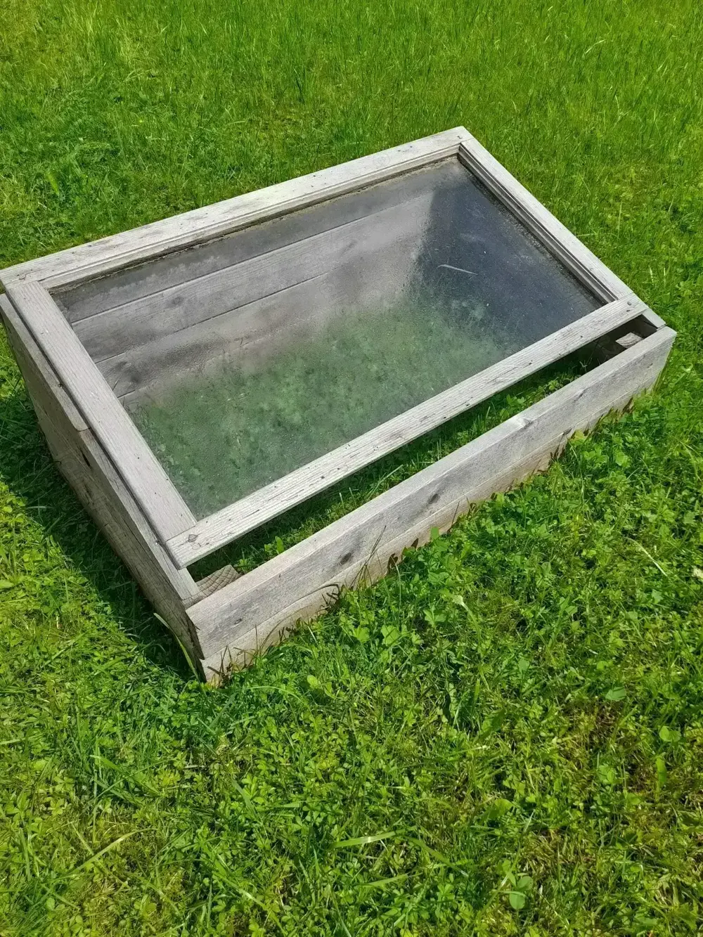 Frühbeet aus Holz Frühbeet aus Holz