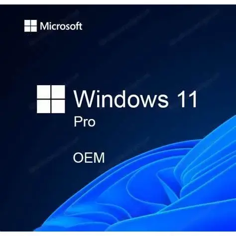 Windows 11 Pro OEM ( 1 PC ) alle Sprachen Express Email NEU und sofort zu nutzen