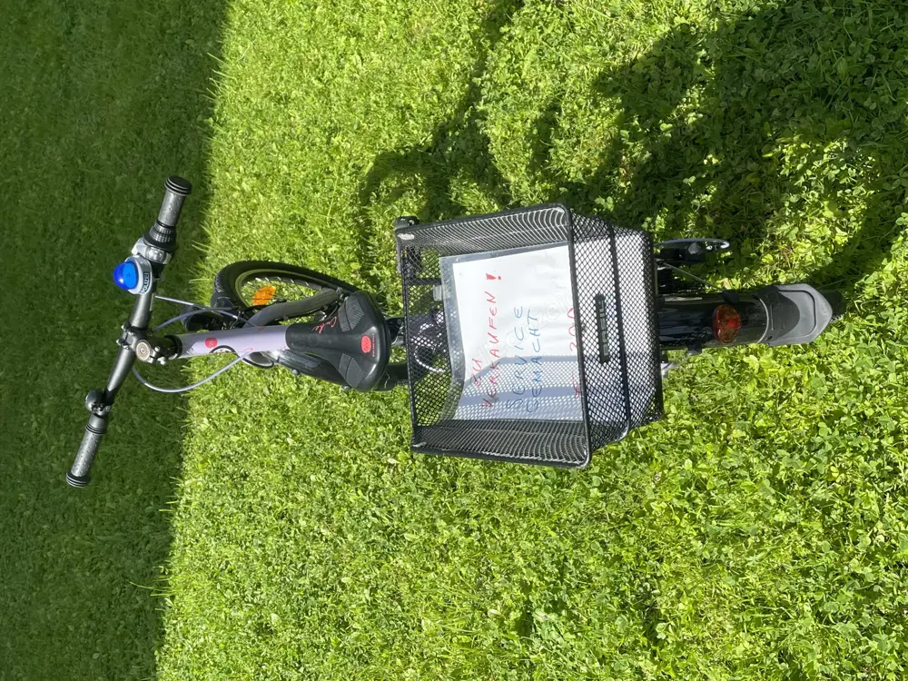 Fahrrad 20 Zoll Mädchen Fahrrad 20 Zoll Mädchen