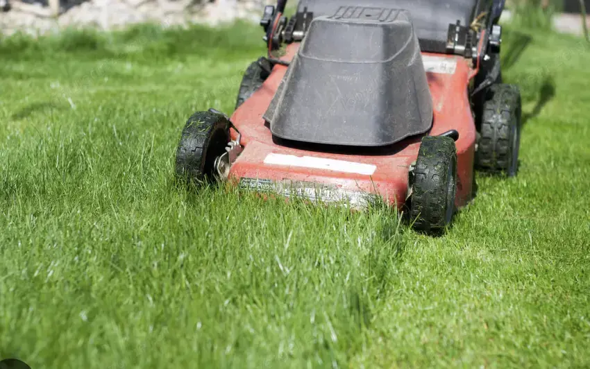 Helfer Pensionist gesucht für Gartenarbeiten Helfer Pensionist gesucht für Gartenarbeiten