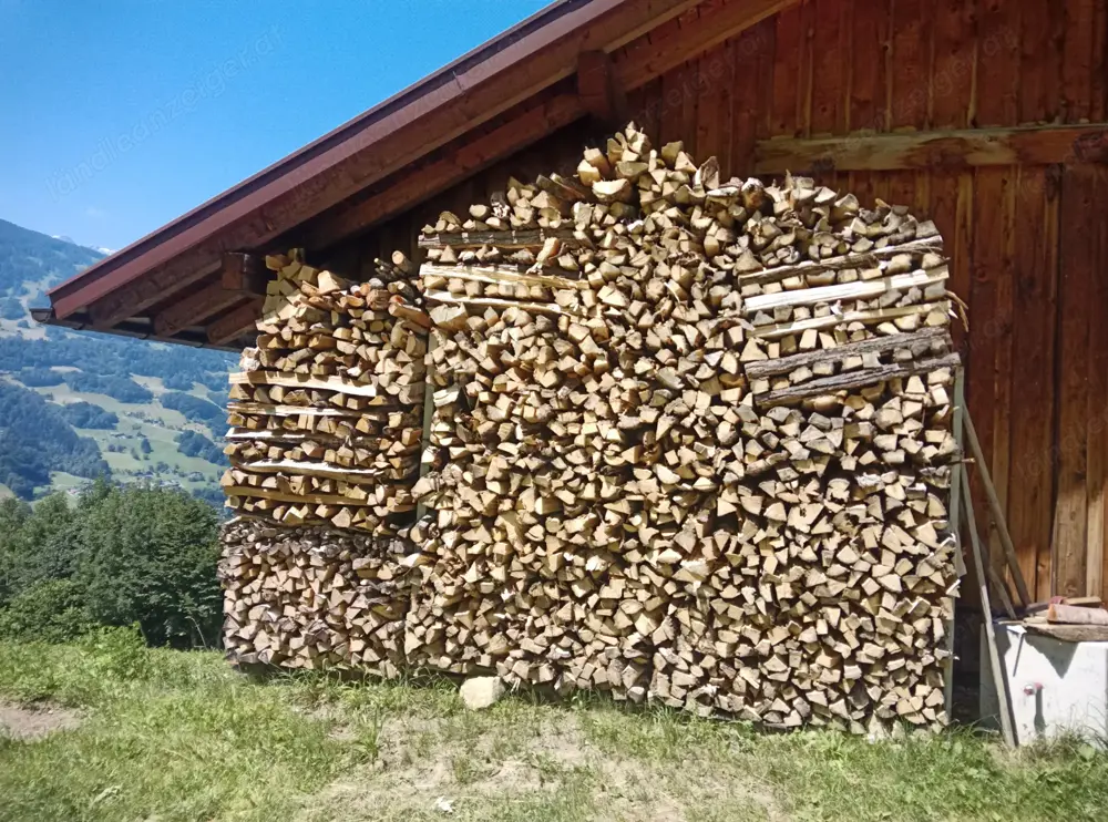 Brennholz Linde Brennholz Linde