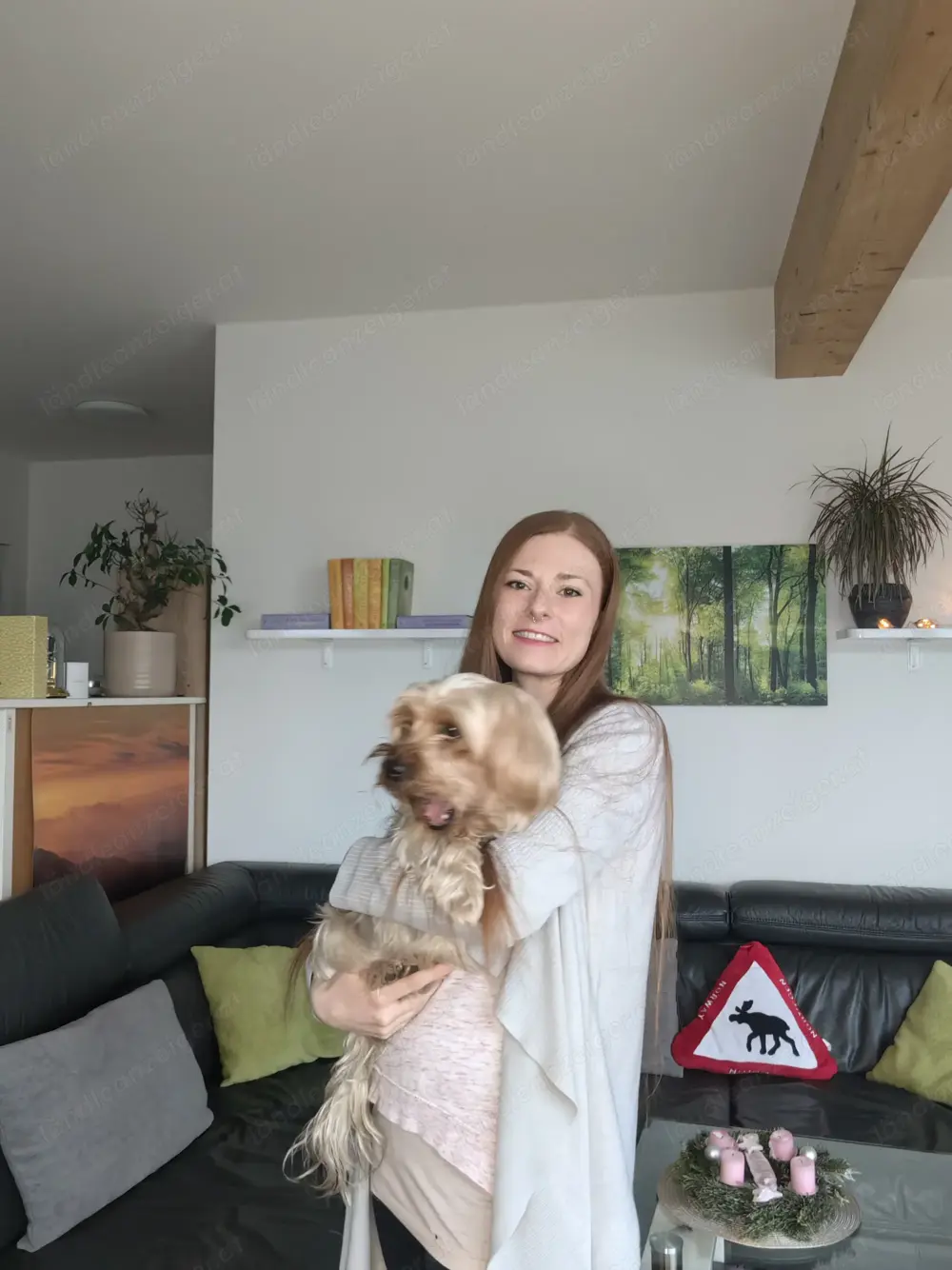 Suche 1 Zimmer Wohnung 