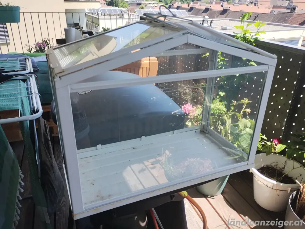 Kleines weißes Gewächshaus Kleines weißes Gewächshaus