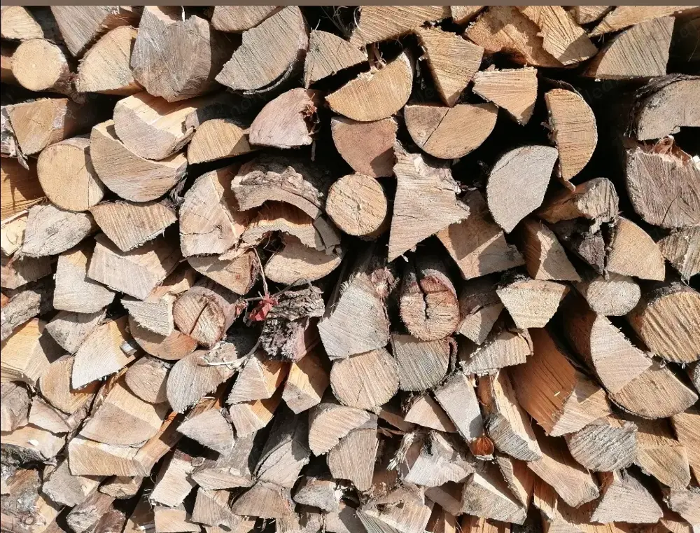  7Meter Brennholz Esche Buche Hartholz