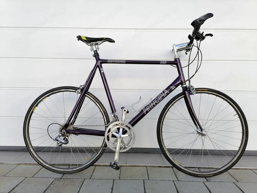 Principia Criterium 650 Principia Criterium 650