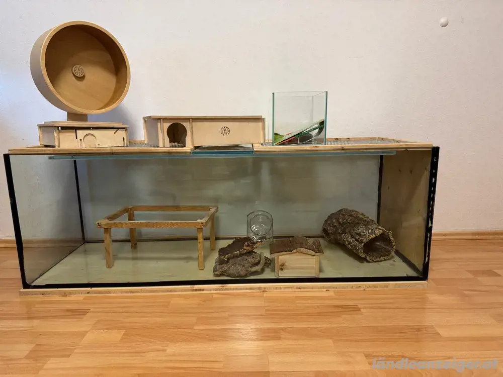 Terrarium Terrarium
